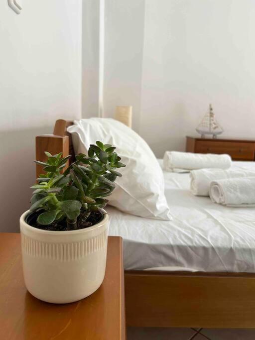 Appartamento Cozy Studio In Skala, Agistri Esterno foto