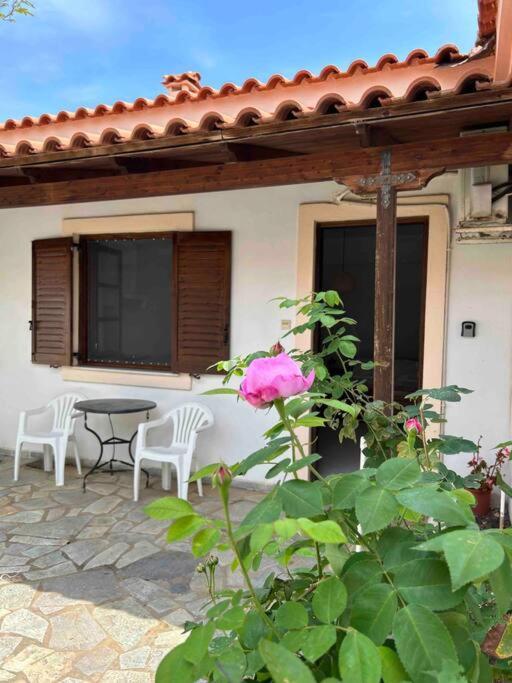 Appartamento Cozy Studio In Skala, Agistri Esterno foto